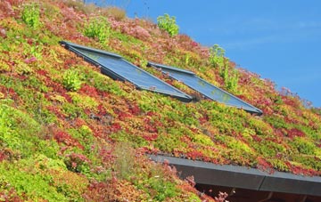 Ton Pentre living roof systems